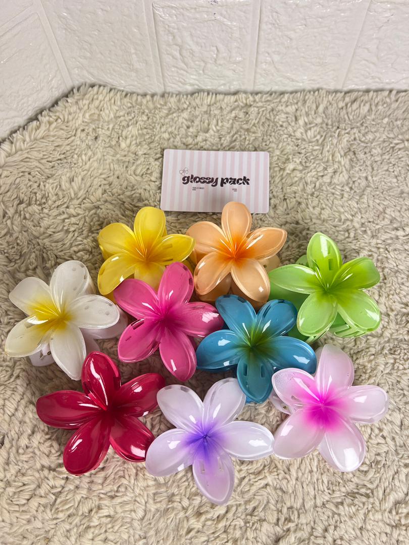 Pince hawaienne 8cm