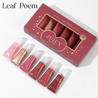 Juicy lip gloss set 6pcs