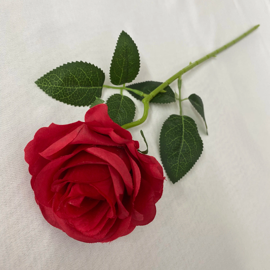 Tige de rose