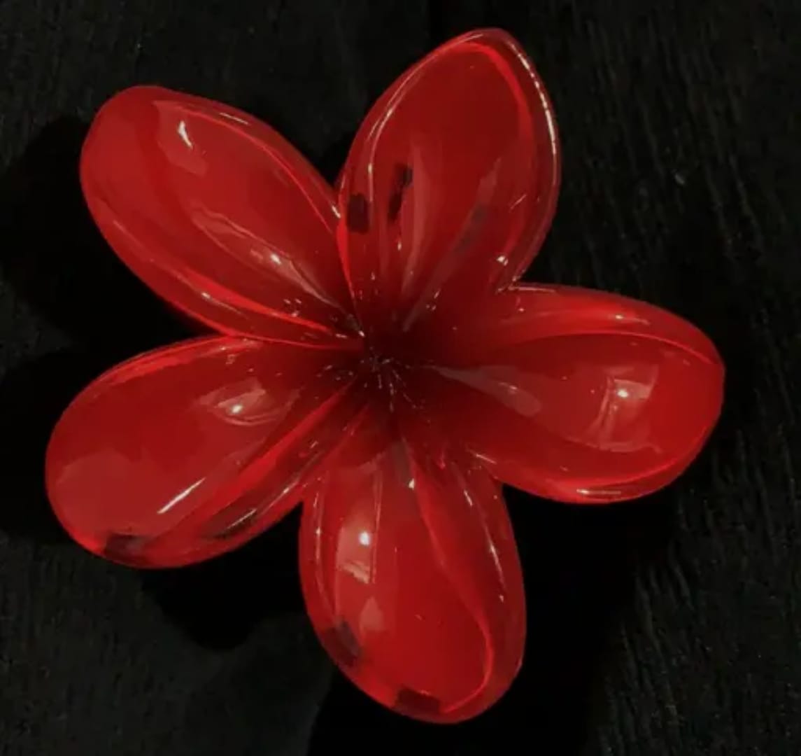 Pince hawaienne 8cm
