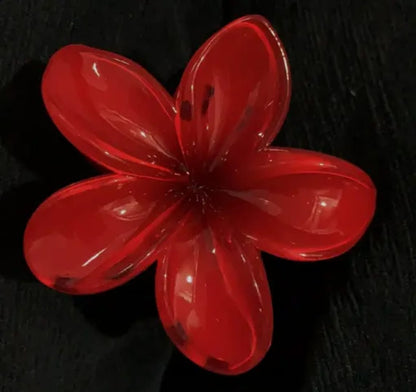 Pince hawaienne 8cm