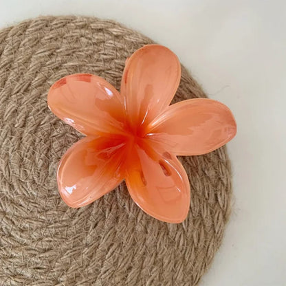 Pince hawaienne 8cm
